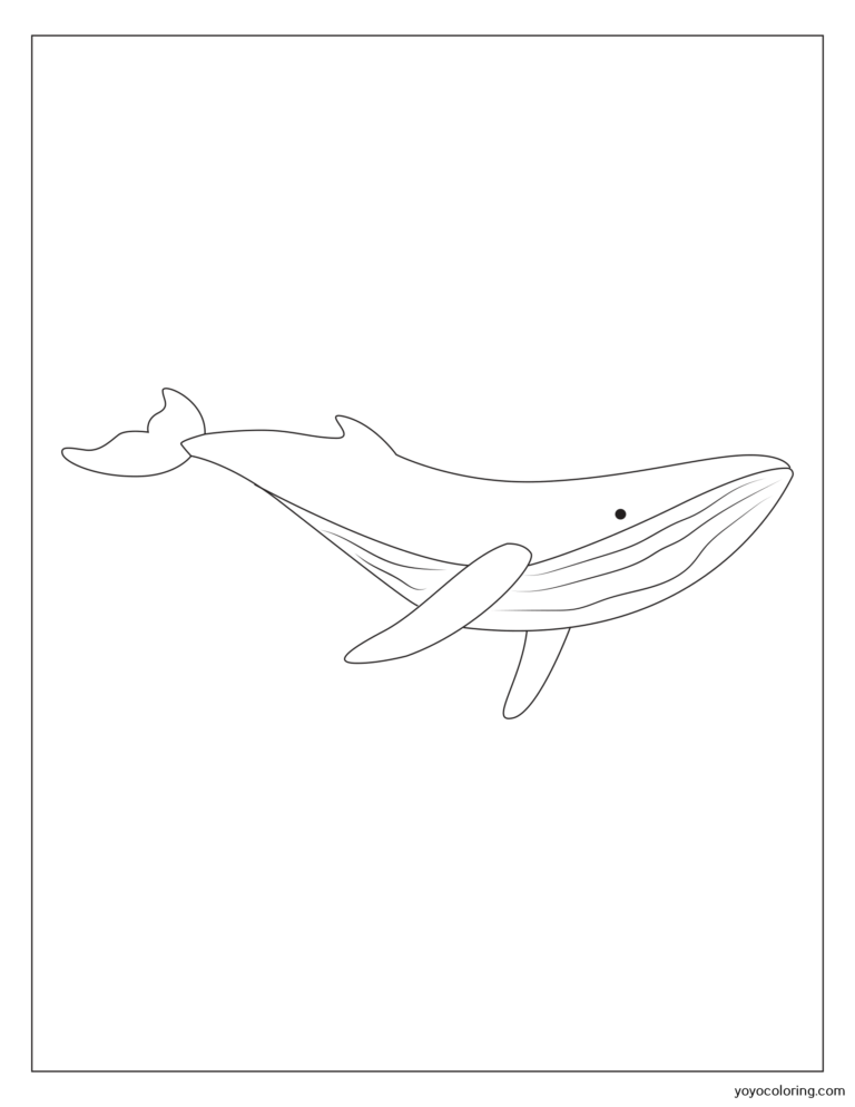 Whale Coloring Pages ᗎ Coloring book – Coloring Template