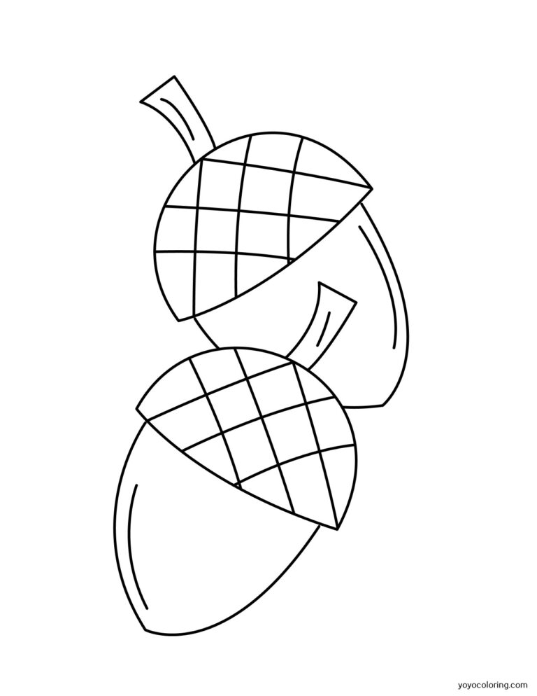 Acorn Coloring Pages ᗎ Coloring book – Coloring Template