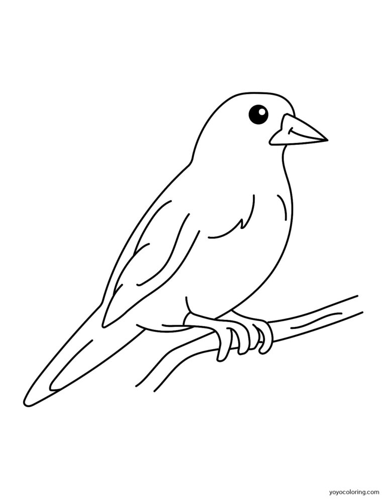 Bird Coloring Pages ᗎ Libro para colorear – Plantilla para colorear