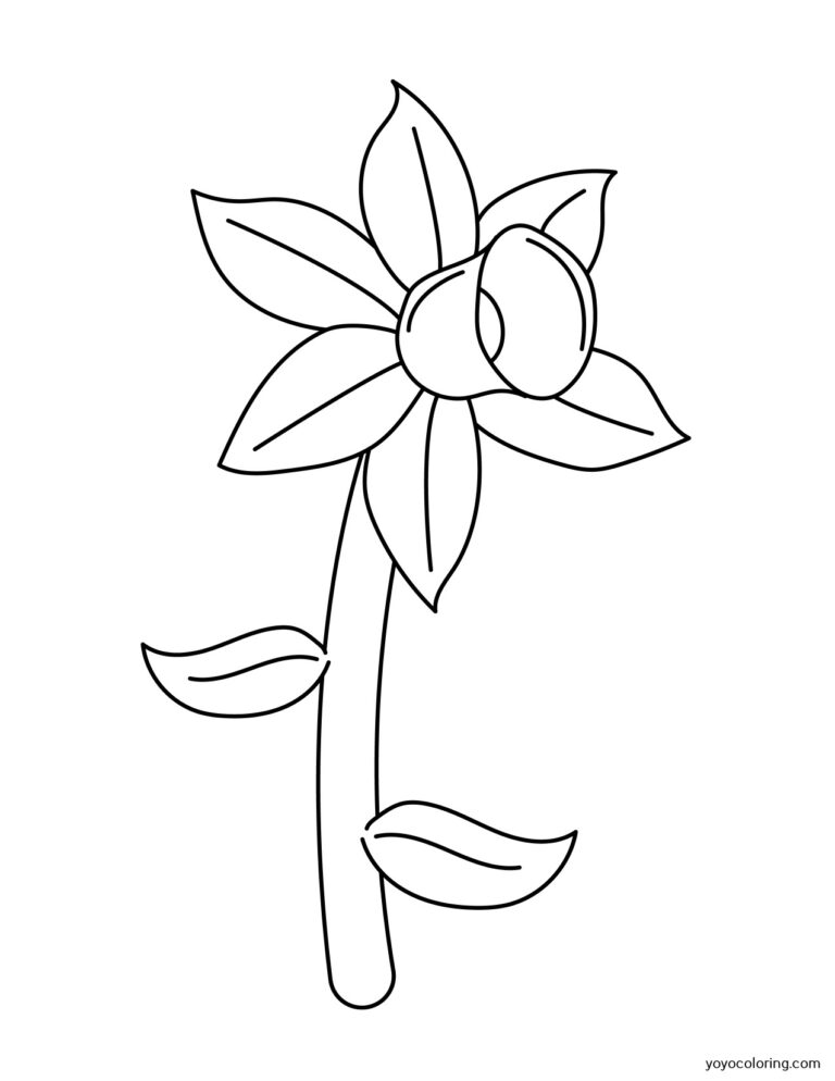 daffodils Coloring Pages ᗎ Coloring book – Coloring Template