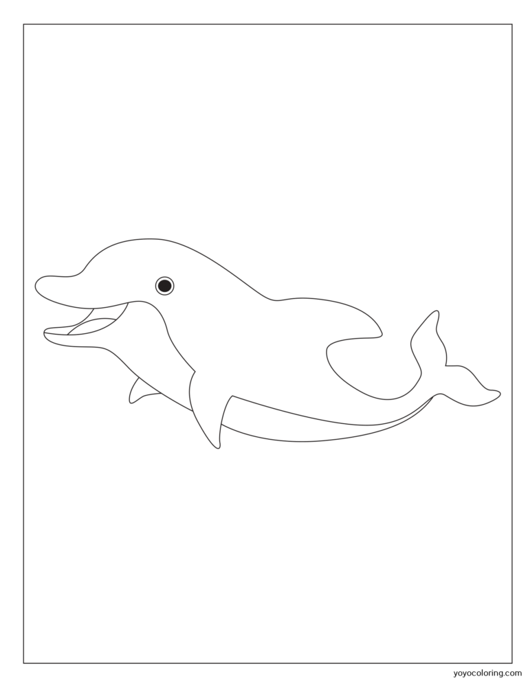 Dolphin Coloring Pages ᗎ Libro para colorear – Plantilla para colorear