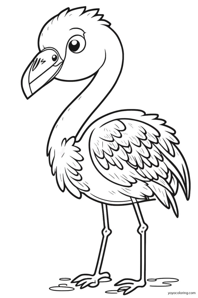 Flamingo Malvorlagen 1