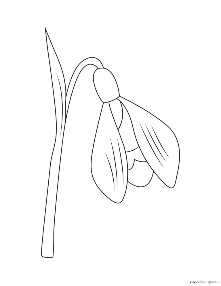 Flower bulbs Coloring Pages ᗎ Coloring book – Coloring Template