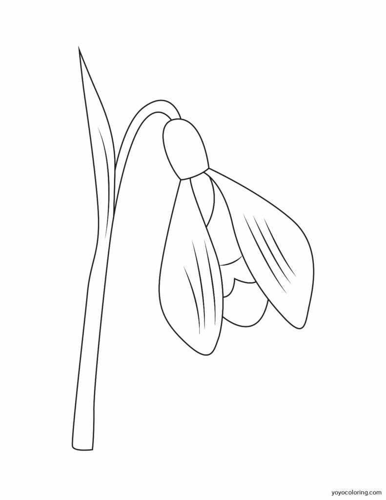 Dibujos de bulbos de flores para colorear