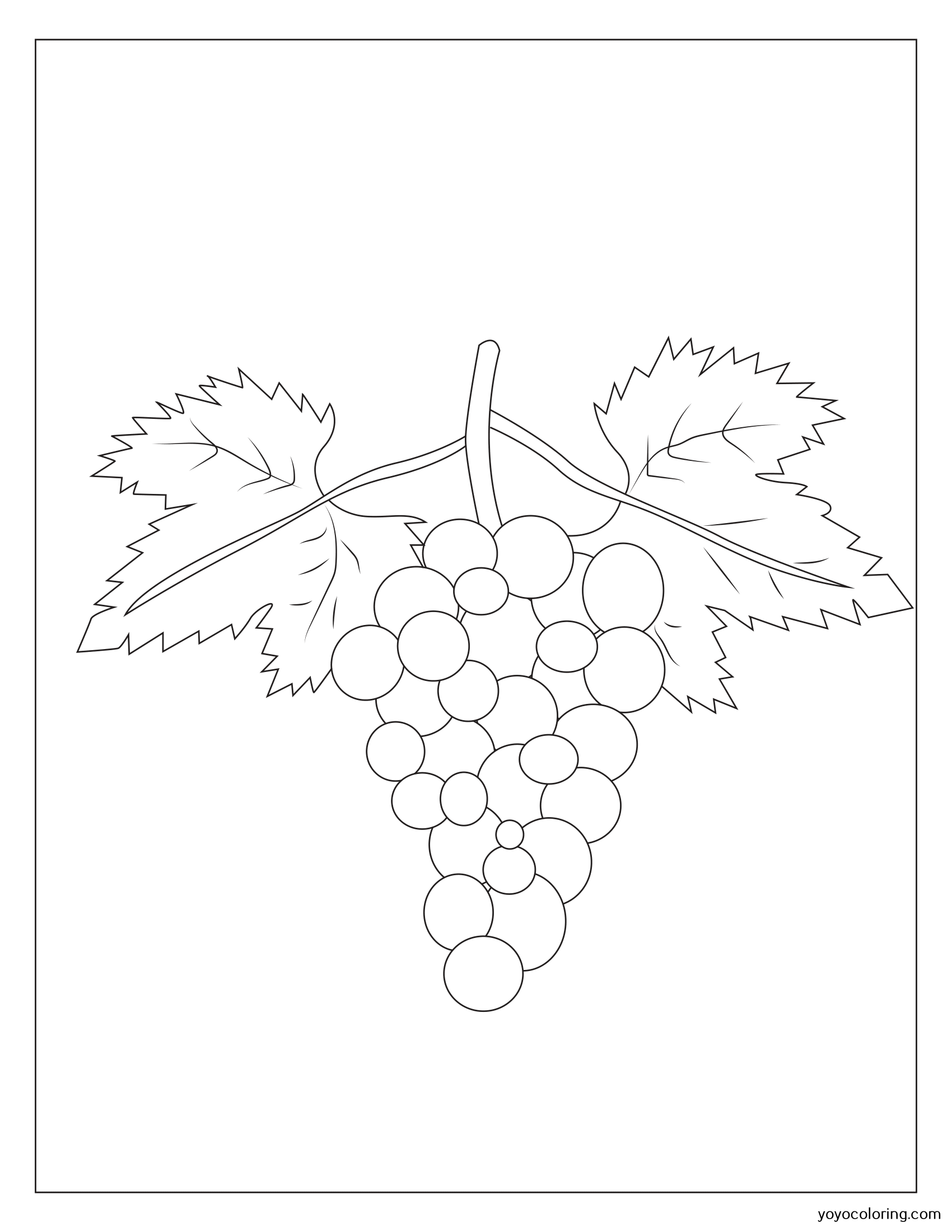 Grapes Colouring Pages