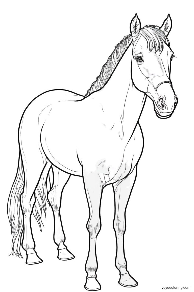 Horse Coloring Pages ᗎ Coloring book – Coloring Template