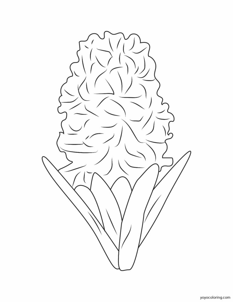 Hyacinth Coloring Pages ᗎ Coloring book – Coloring Template