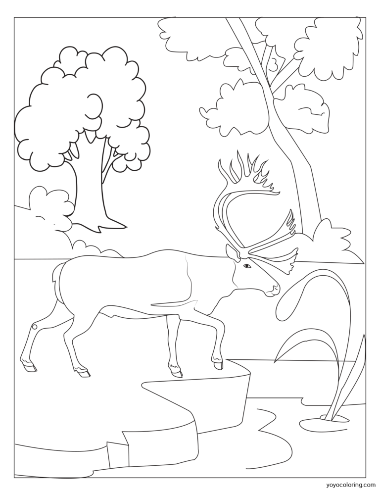 Moose Coloring Pages ᗎ Libro para colorear – Plantilla para colorear