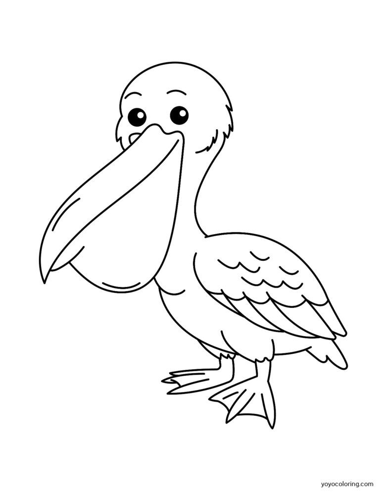 Pelican Coloring Pages ᗎ Libro para colorear – Plantilla para colorear