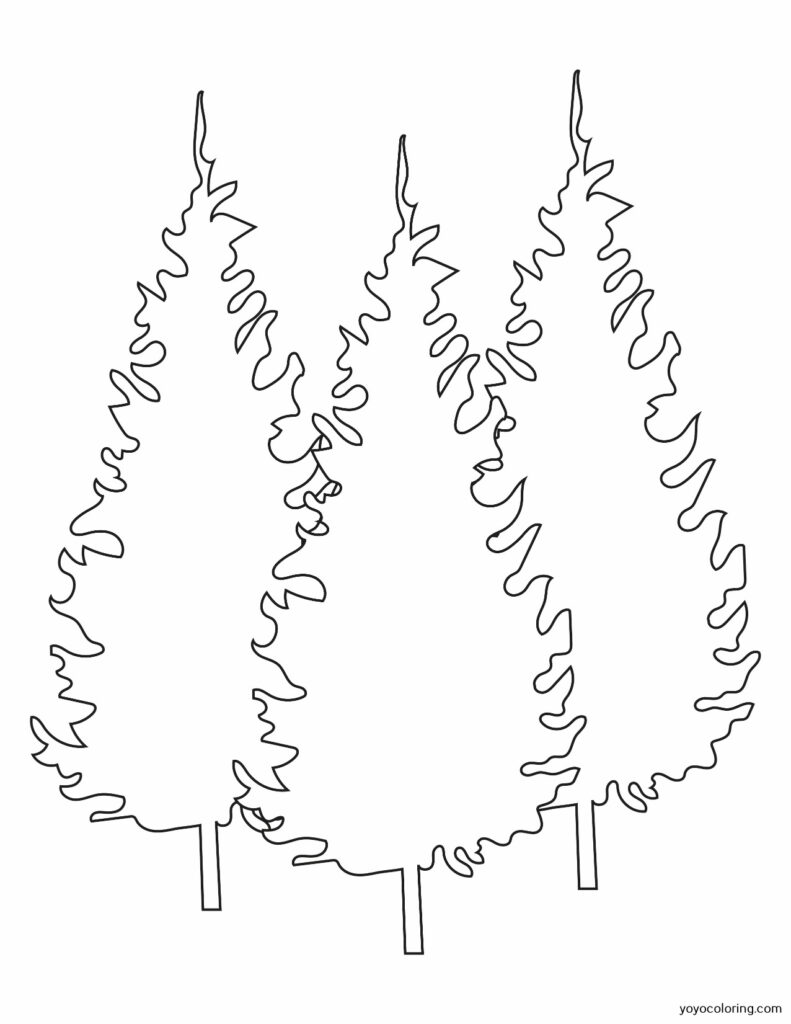 Pine Coloring Pages