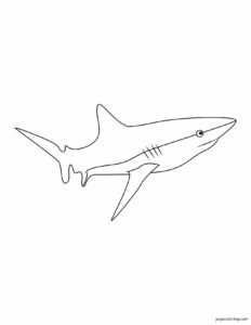Read more about the article Shark Coloring Pages ᗎ Coloring book – Coloring Template
