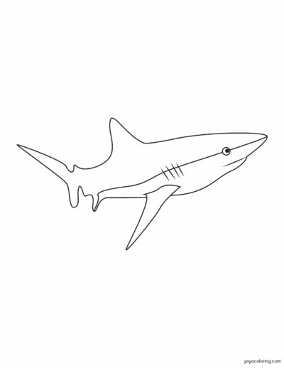 Ausmalbilder Haie