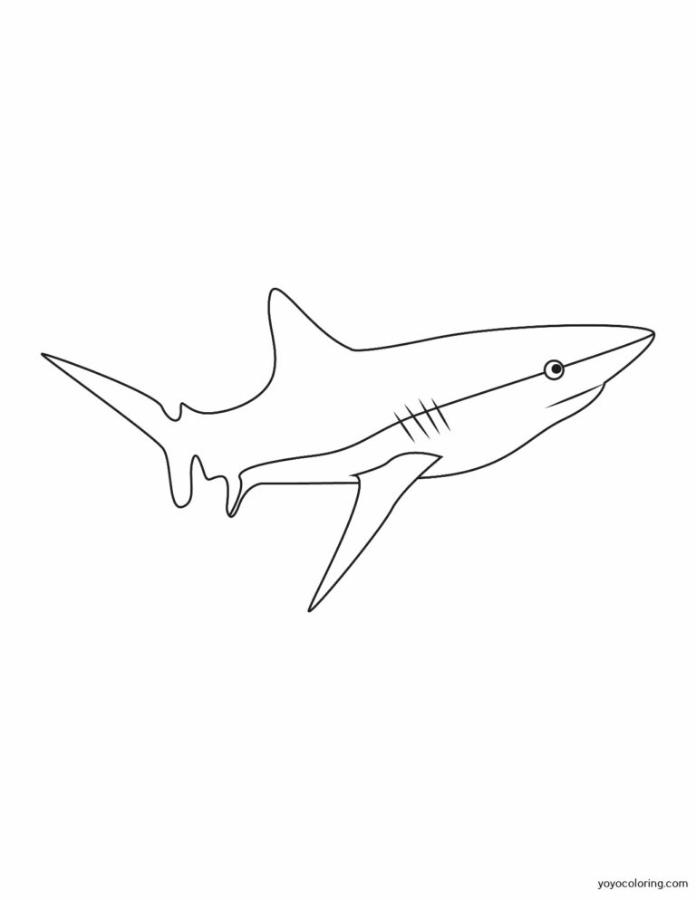 Hai Ausmalbilder ᗎ Zum Ausmalen – Malvorlage