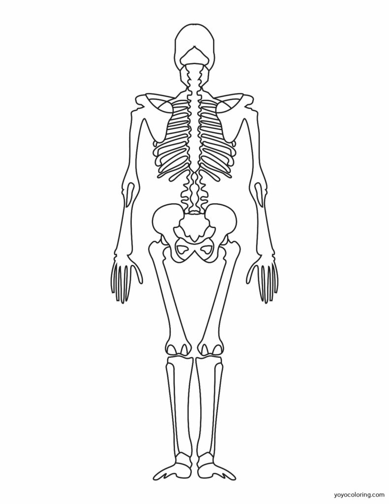 Dibujos de esqueletos para colorear