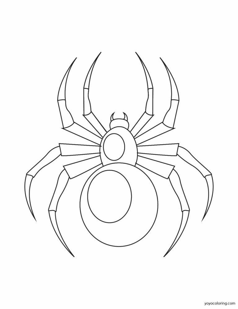 Spider Coloring Pages ᗎ Coloring book – Coloring Template