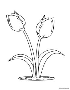 Lesen Sie mehr über den Artikel Tulips Coloring Pages ᗎ Coloring book – Coloring Template