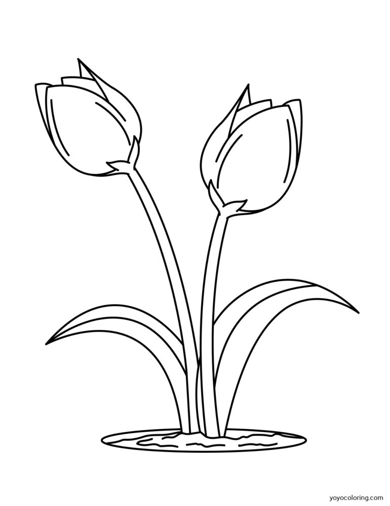 Tulips Coloring Pages ᗎ Coloring book – Coloring Template
