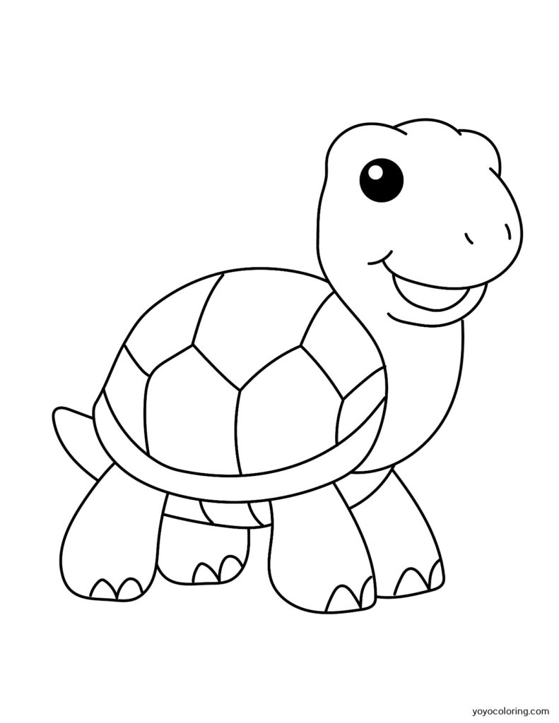 Dibujos de tortugas para colorear