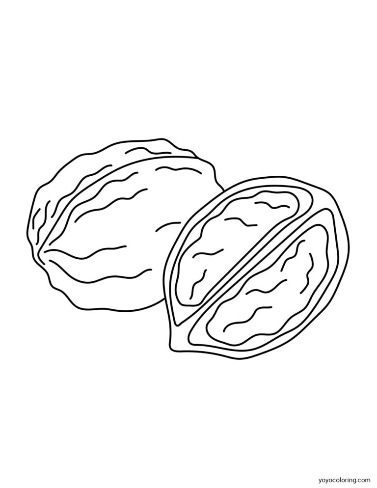 Walnut Coloring Pages ᗎ Coloring book – Coloring Template