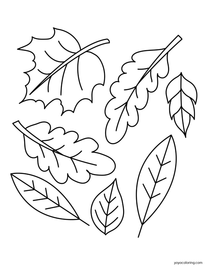 Herbstblätter Malvorlagen