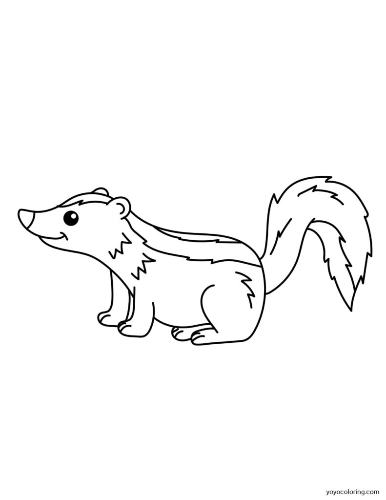 Badger Coloring Pages