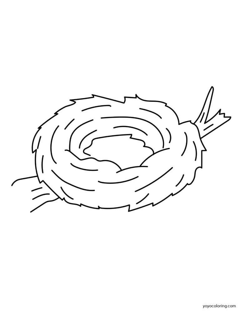 Bird’s nest Coloring Pages ᗎ Coloring book – Coloring Template