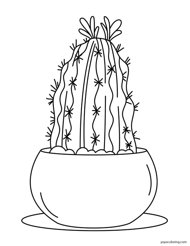 Dibujos de cactus para colorear