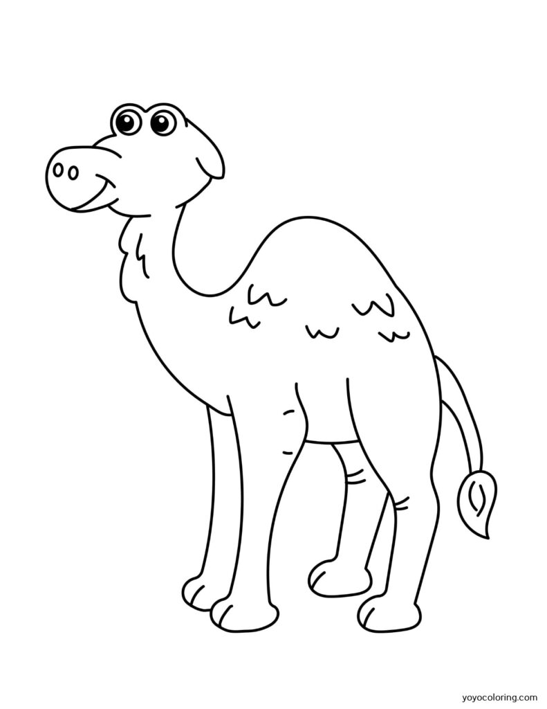 Camel Coloring Pages