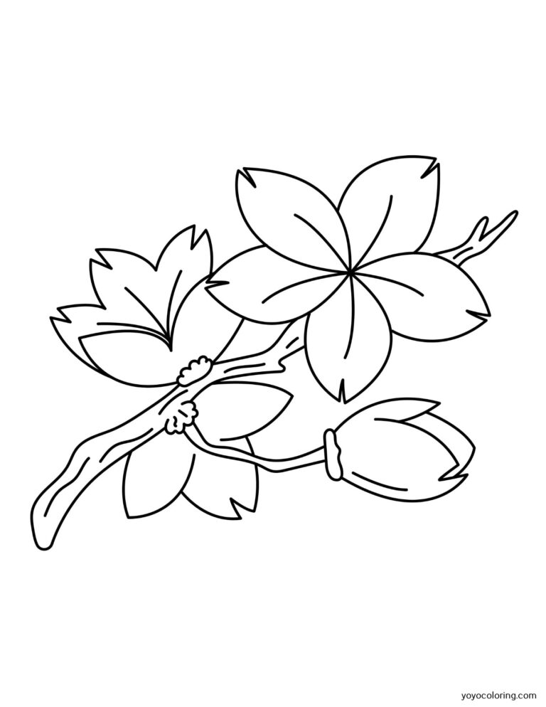 Cherry Blossom Coloring Pages ᗎ Libro para colorear – Plantilla para colorear