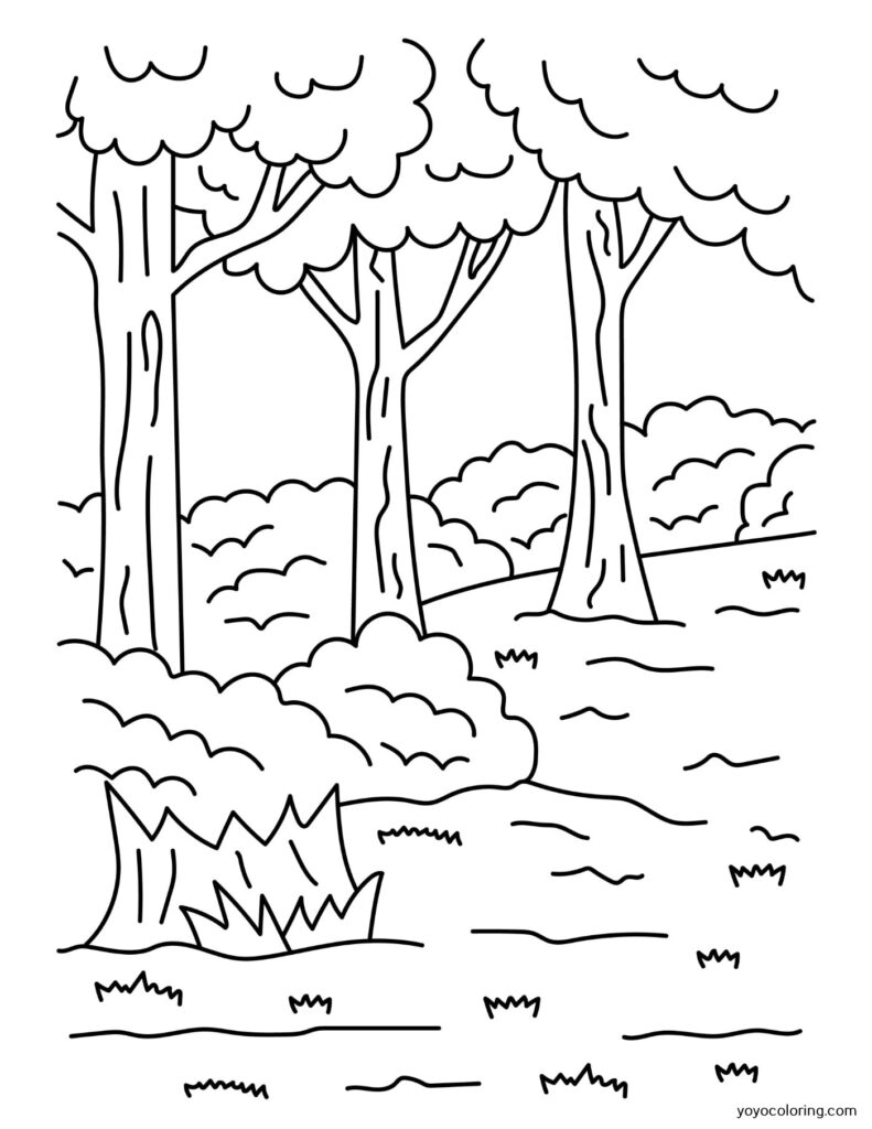 Wald Malvorlagen