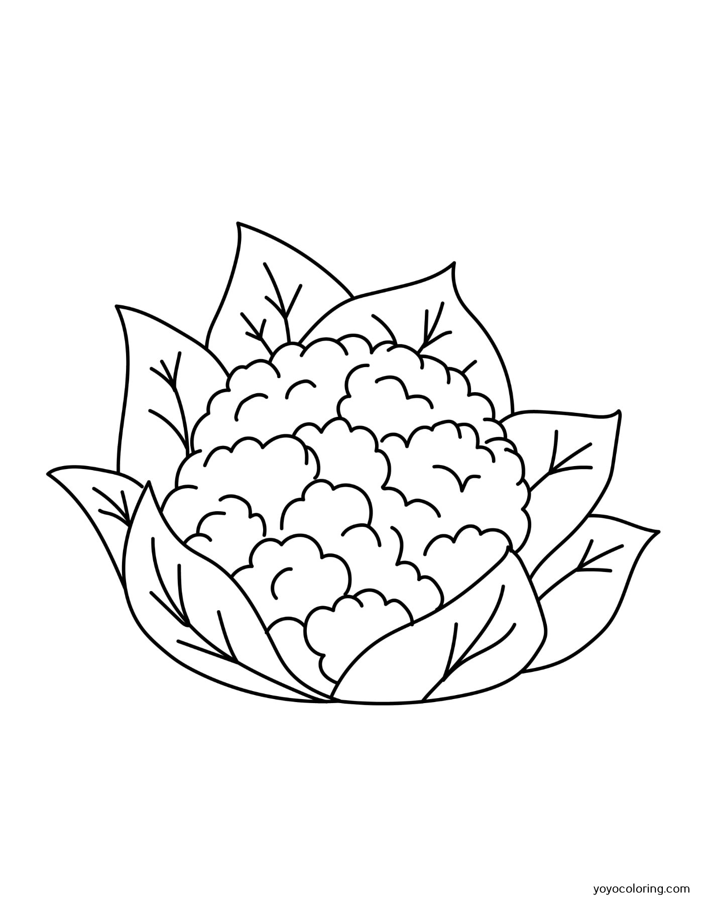 coliflor-para-colorear-plantilla-de-pintura-imprimible