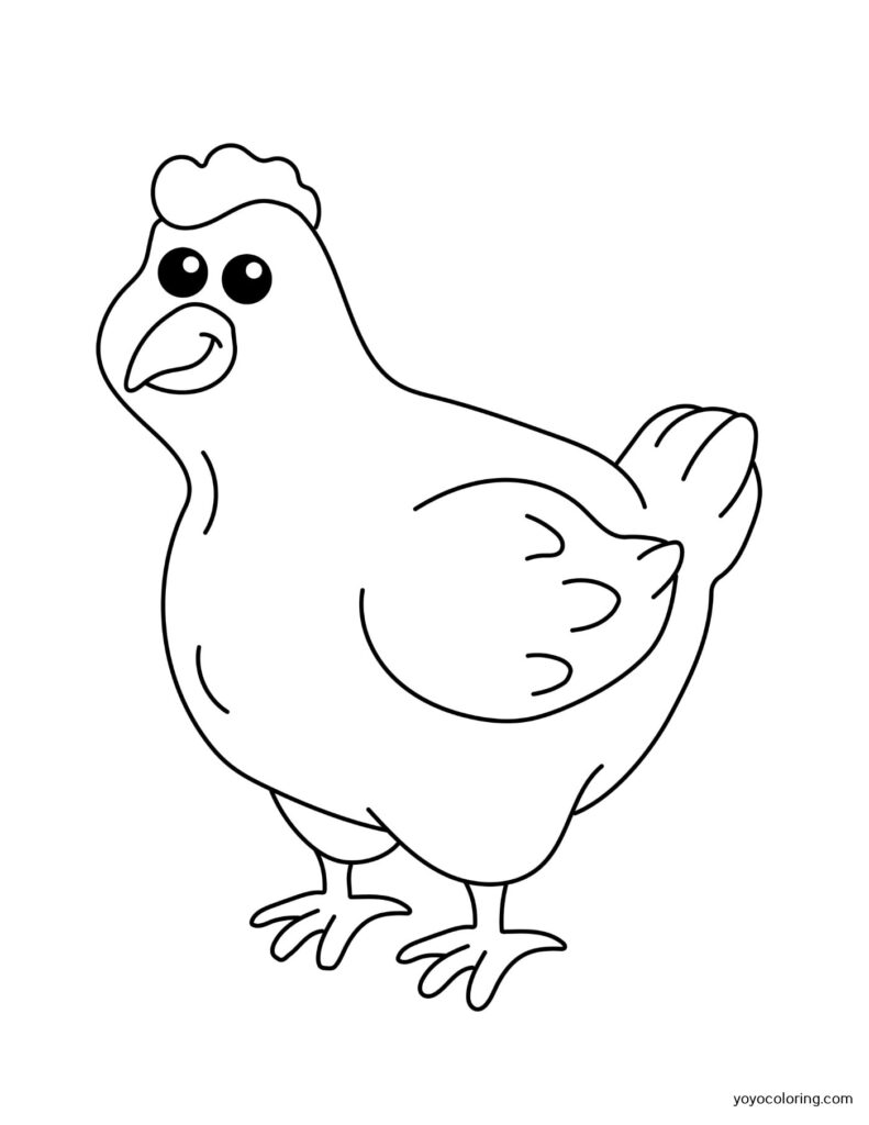 Paginas Para Colorear De Pollo