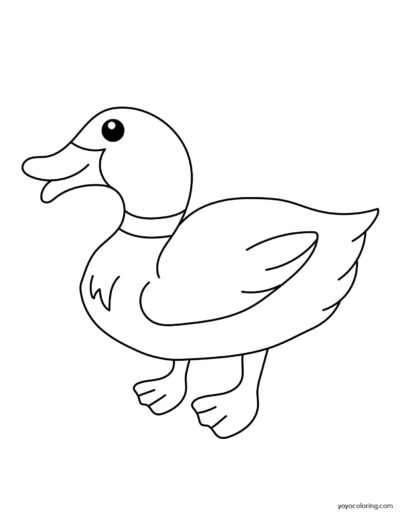 Strichzeichnung einer Cartoon-Ente, stehend, nach rechts blickend, mit einem einfachen, fröhlichen Gesichtsausdruck.