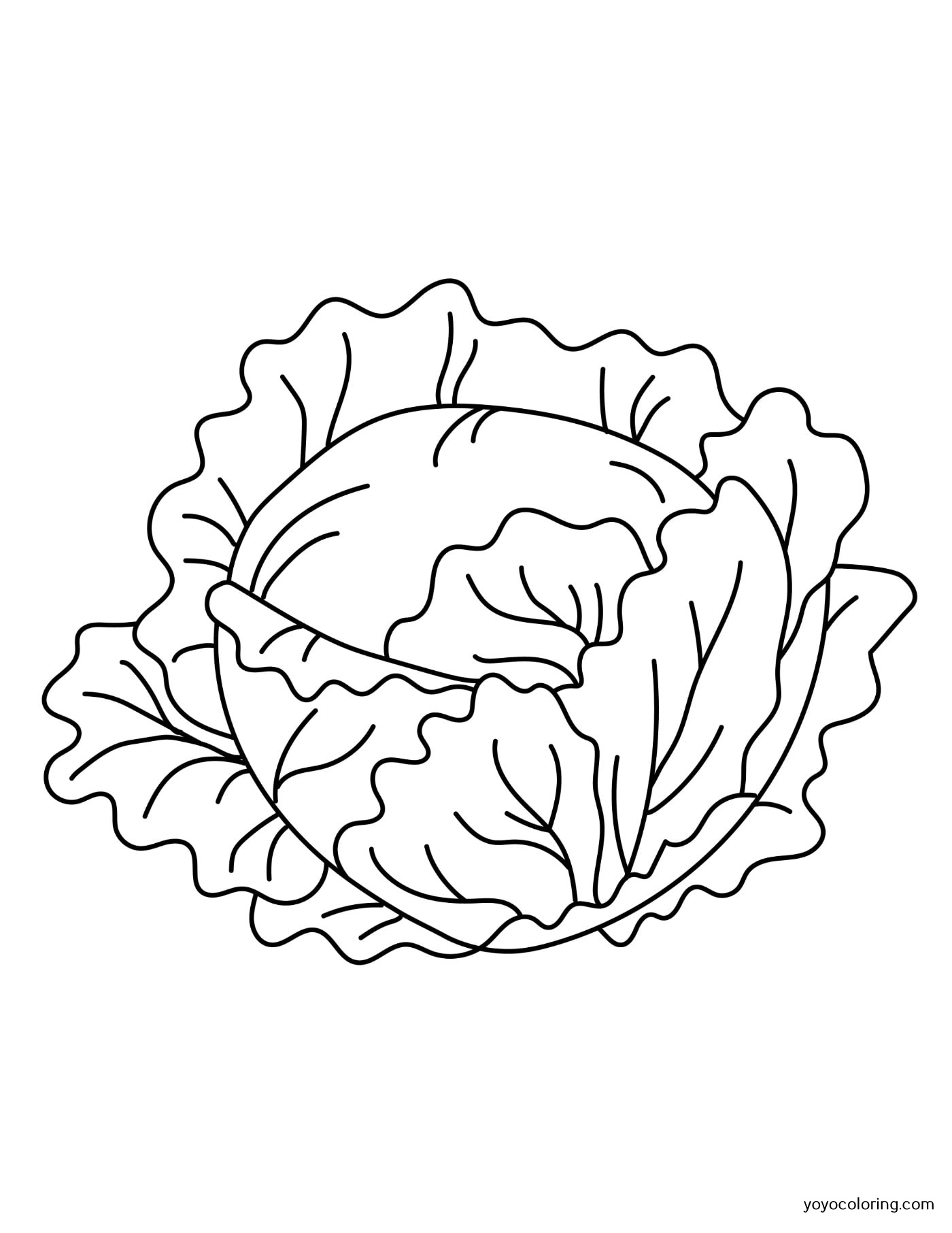 Lettuce Coloring Pages ᗎ Printable Painting Template