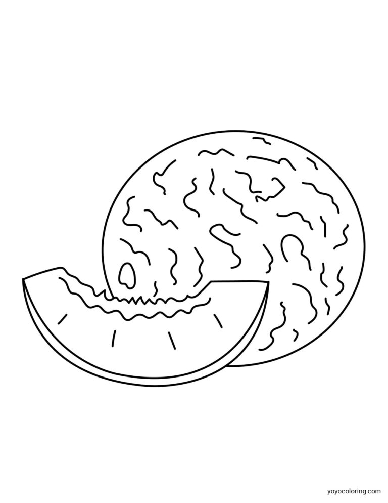 Melon Coloring Pages ᗎ Libro para colorear – Plantilla para colorear