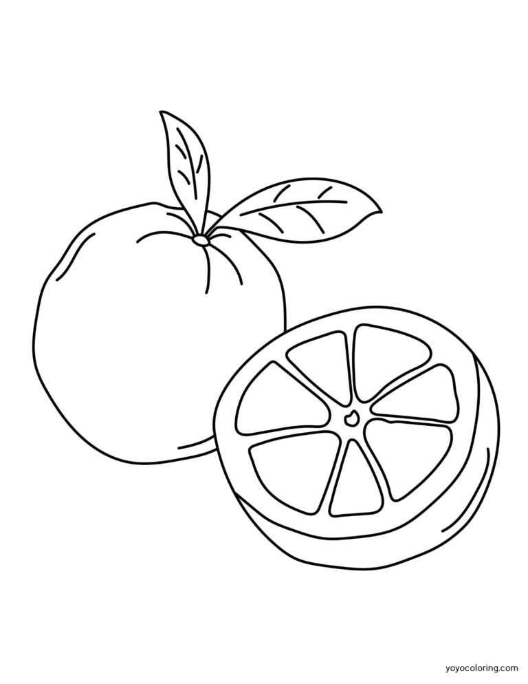Orange Coloring Pages ᗎ Coloring book – Coloring Template
