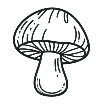 Line drawing of a mushroom with a detailed cap and stem.